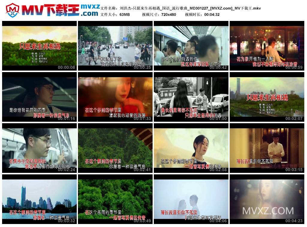 刘洪杰-只愿来生再相遇_国语_流行歌曲_MD301227